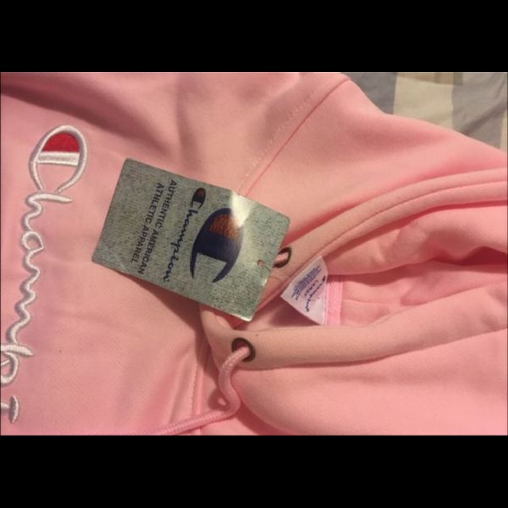 Champion Sweater